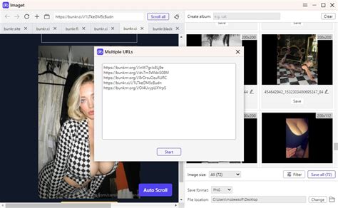 bunkrr.su albums|Bulk Gallery Downloader for Cyberdrop.me and Other Sites.